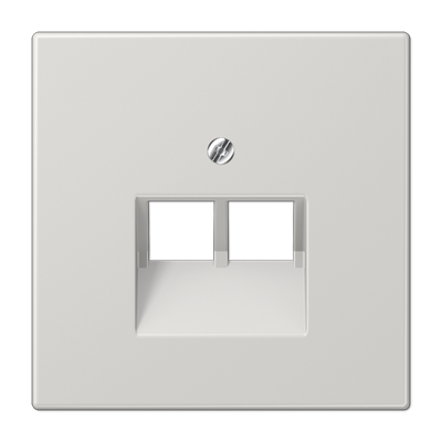 Накладка на комп'ютерну розетку 2-на, світло-сірий LS969-2UALG фото