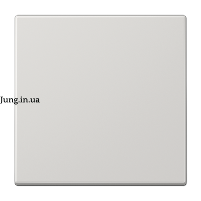Накладка на клавішний димер димер, світло-сірий 1-кл. LS1700LG фото