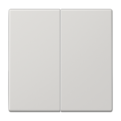 Накладка на клавішний димер димер, світло-сірий 2-кл. LS1702LG фото